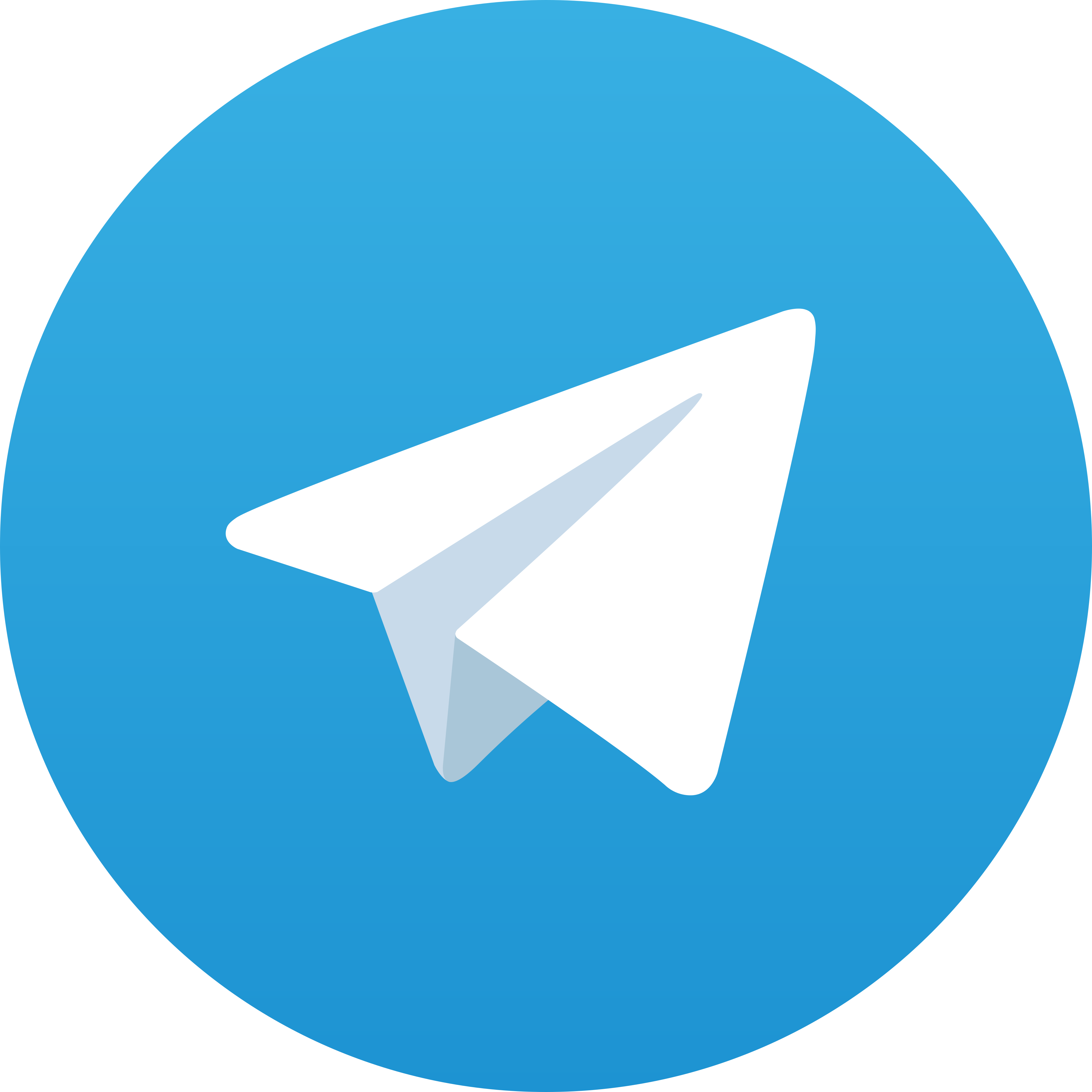 Telegram ION167